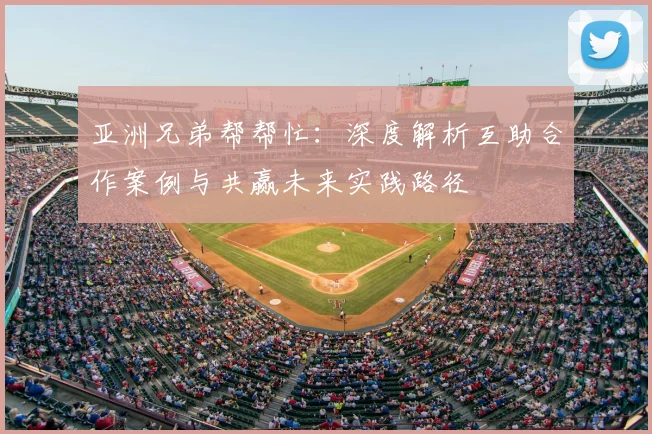亚洲兄弟帮帮忙：深度解析互助合作案例与共赢未来实践路径