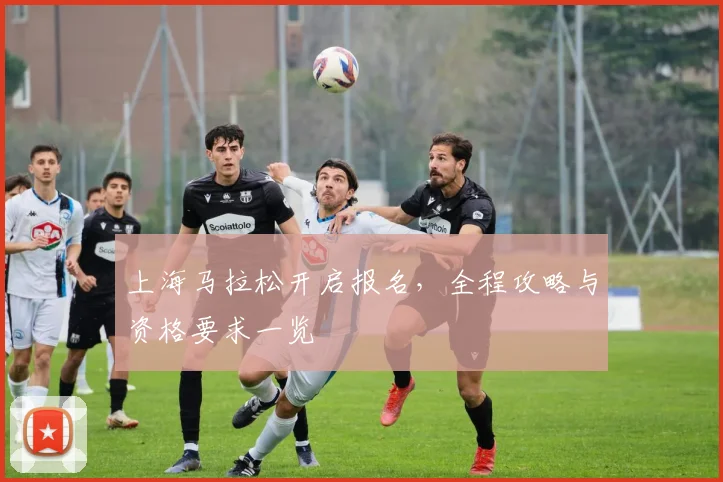 上海马拉松开启报名，全程攻略与资格要求一览