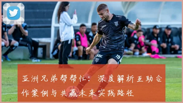 亚洲兄弟帮帮忙：深度解析互助合作案例与共赢未来实践路径